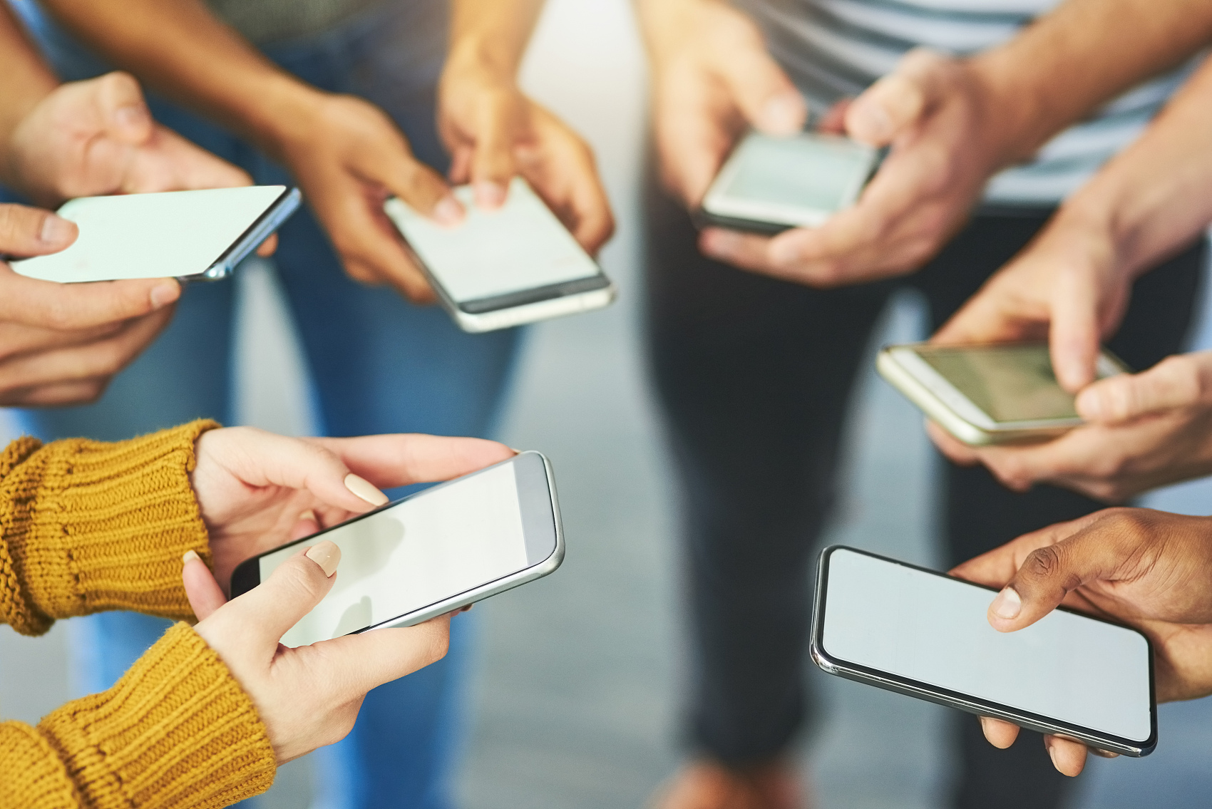 观众观赛体, entit 观众观赛体, entit